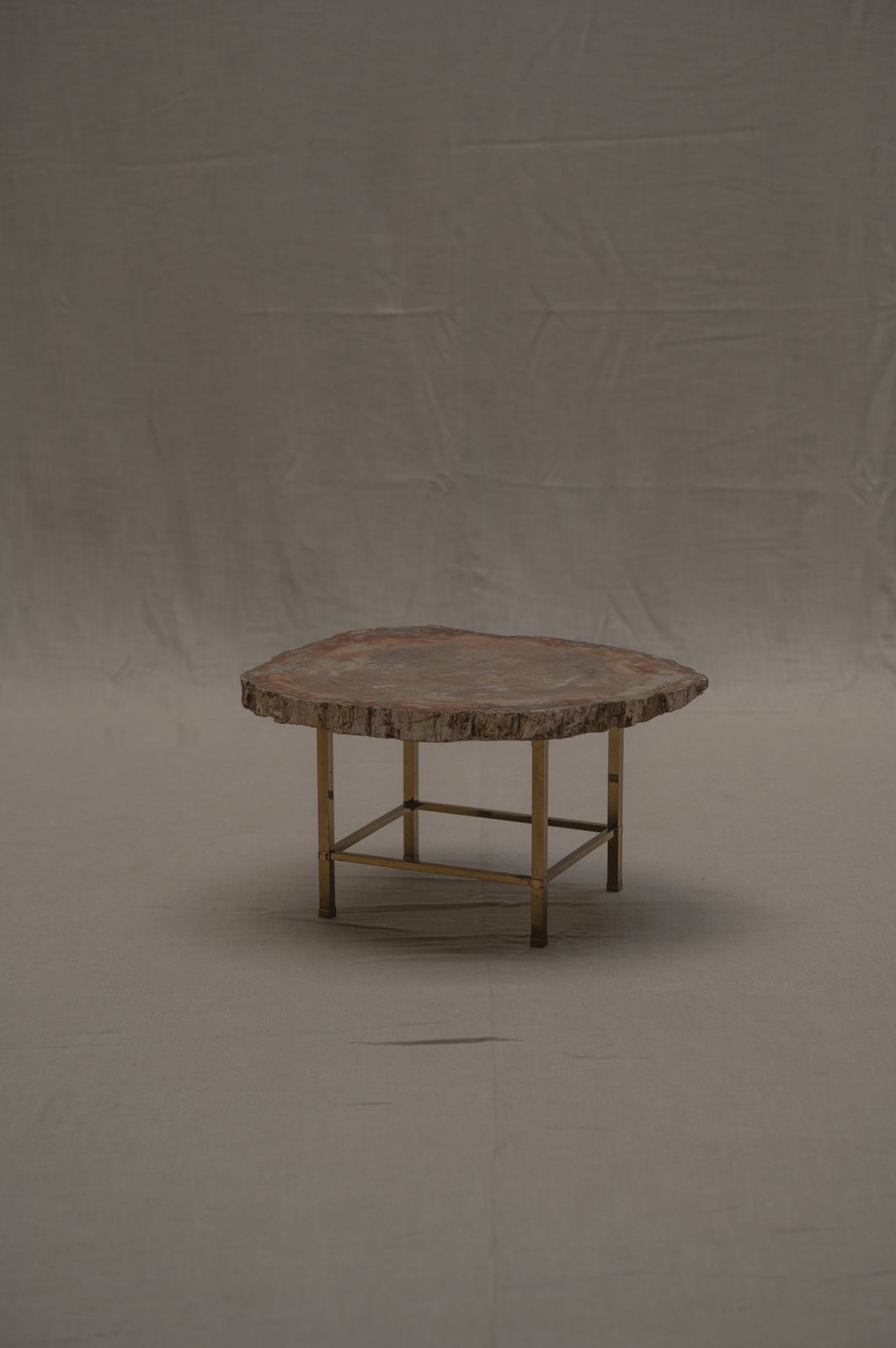 Rare Petrified Wood Coffee Table   1970s photo Furniture