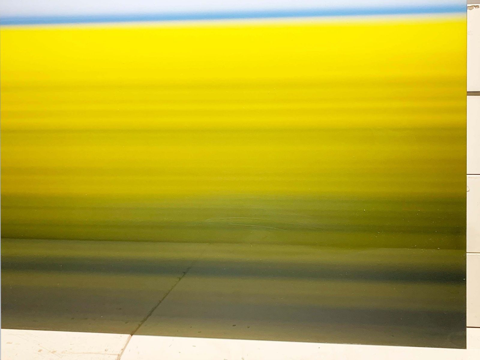 Mustard Field Limited Edition Original Print, Signed By David Burdeny For Lumas photo 1784.0