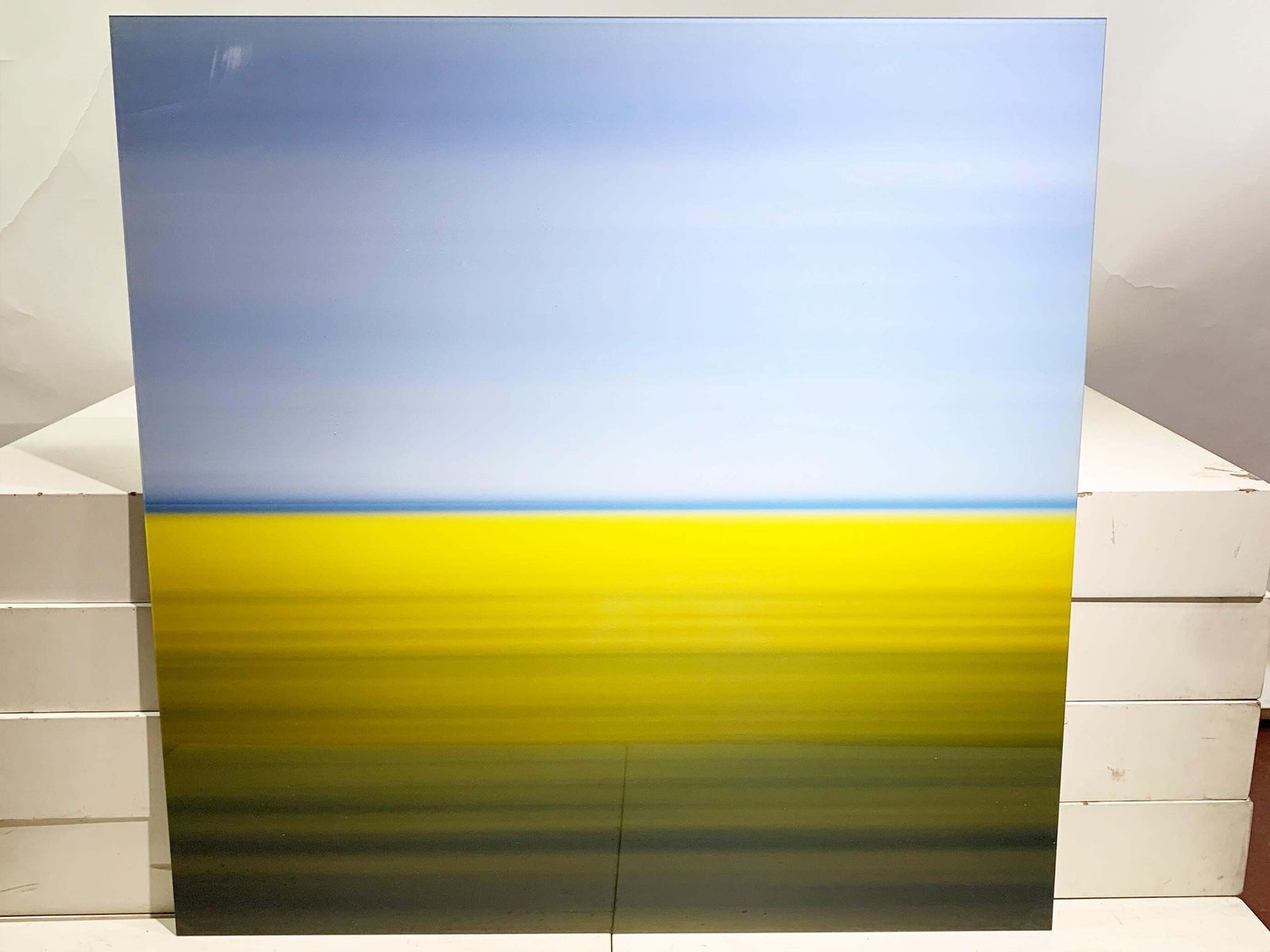 Mustard Field Limited Edition Original Print, Signed By David Burdeny For Lumas photo vinterior