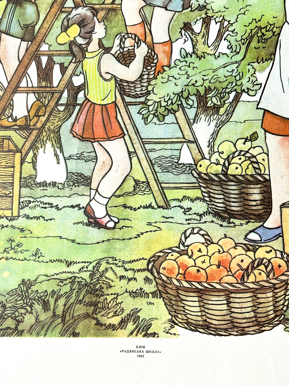 140.0 1983 Rare Original Ukrainian Vintage Double Sided Nursery Alphabet Poster: Apple Harvest, Kids Playground photo