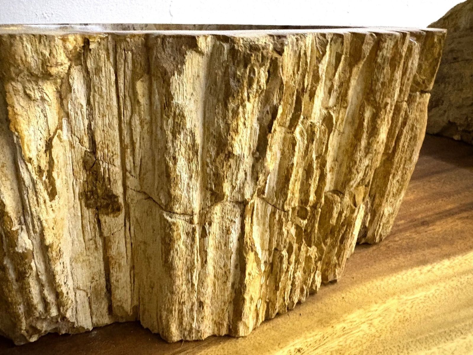 Petrified Wood Sink, Modern Organic   Grey/ Brown/ Beige   Polished, Idn 2025 photo buy
