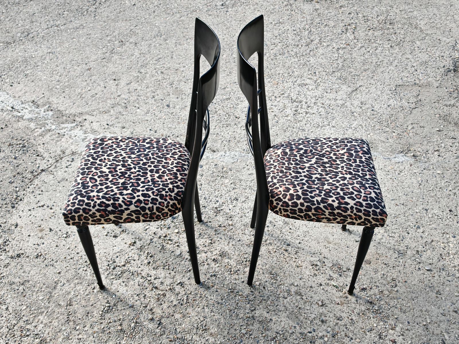 Set Of 6 Mid Century Dining Chairs In Black Lacquer And Leopard Print Plush photo vinterior
