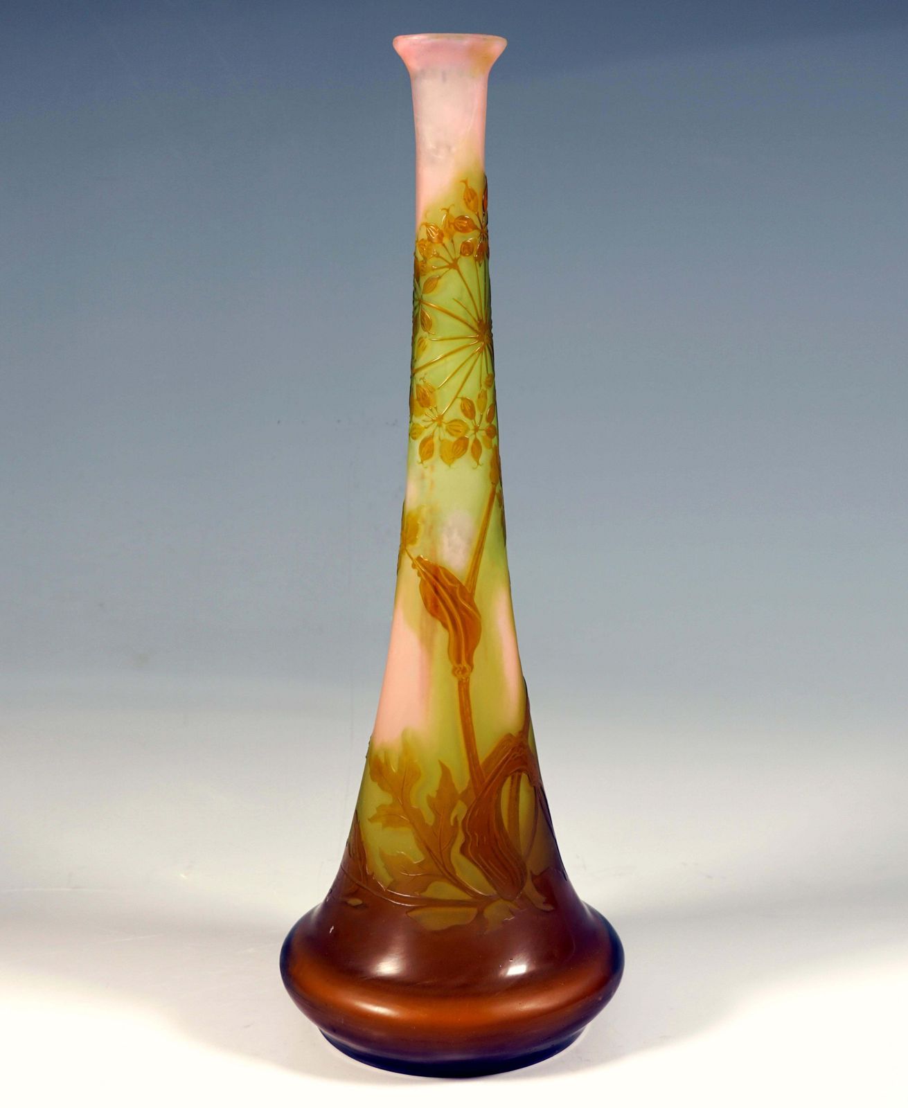 Large émile Gallé Art Nouveau Cameo Vase, Umbellifers Decor, France, Circa 1904 photo Home Decor