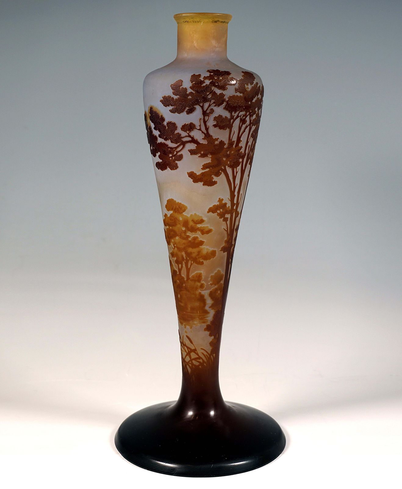 émile Gallé Art Nouveau Cameo Vase, Seascape Decor, France, Circa 1904 photo 4085.0