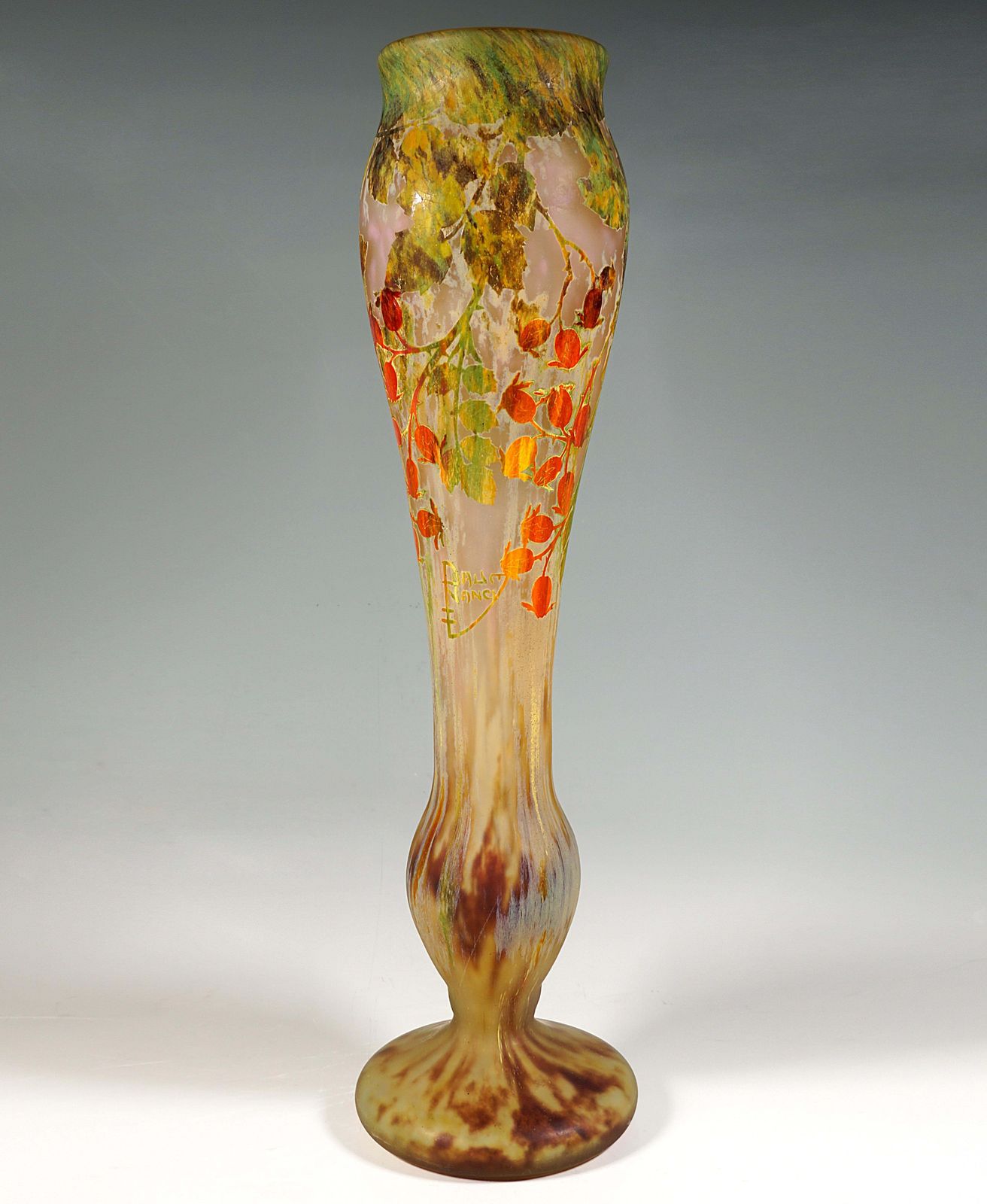 Large Art Nouveau Cameo Vase With Rosehip Decor, Daum Nancy, France, Circa 1910 photo for sale