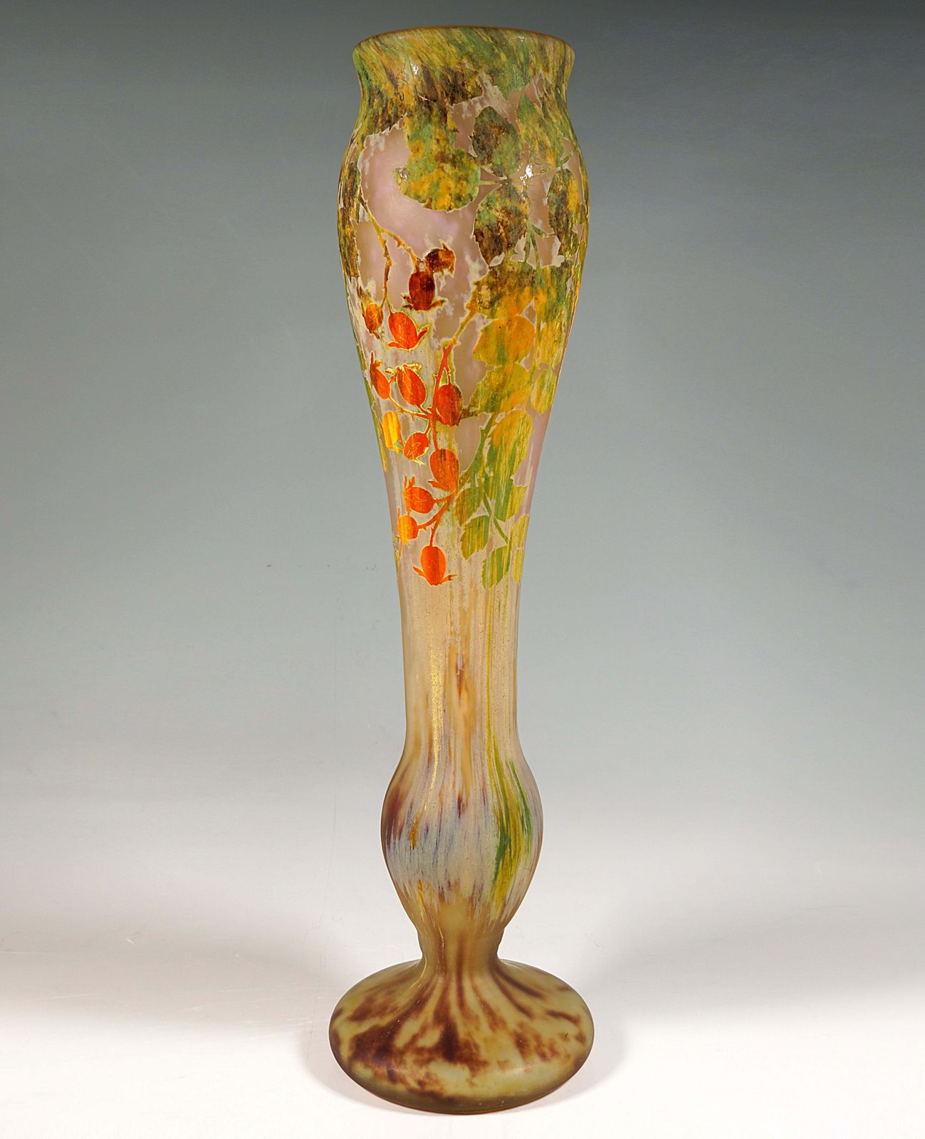 Large Art Nouveau Cameo Vase With Rosehip Decor, Daum Nancy, France, Circa 1910 photo Home Decor