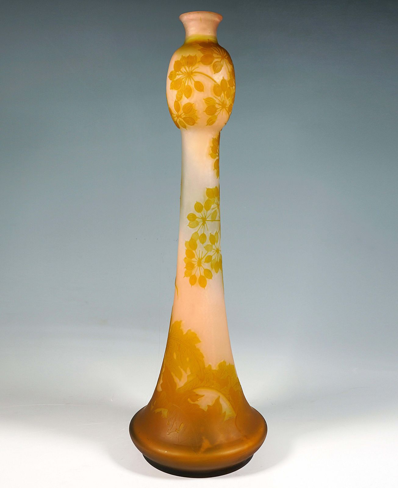 Large émile Gallé Art Nouveau Cameo Vase, Umbellifers Decor, France, Circa 1904 photo for sale