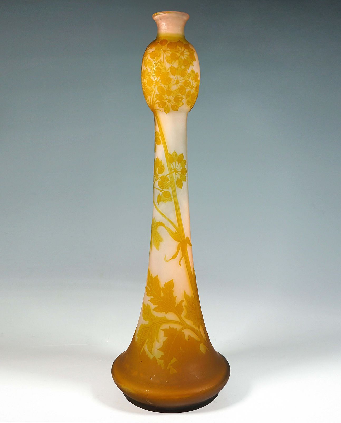 Large émile Gallé Art Nouveau Cameo Vase, Umbellifers Decor, France, Circa 1904 photo 5058.0