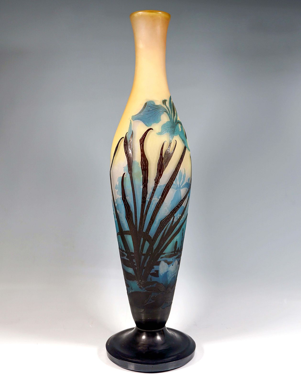 Large émile Gallé Art Nouveau Cameo Vase, Iris And Lily Pond, France, Ca. 1906 photo furniture