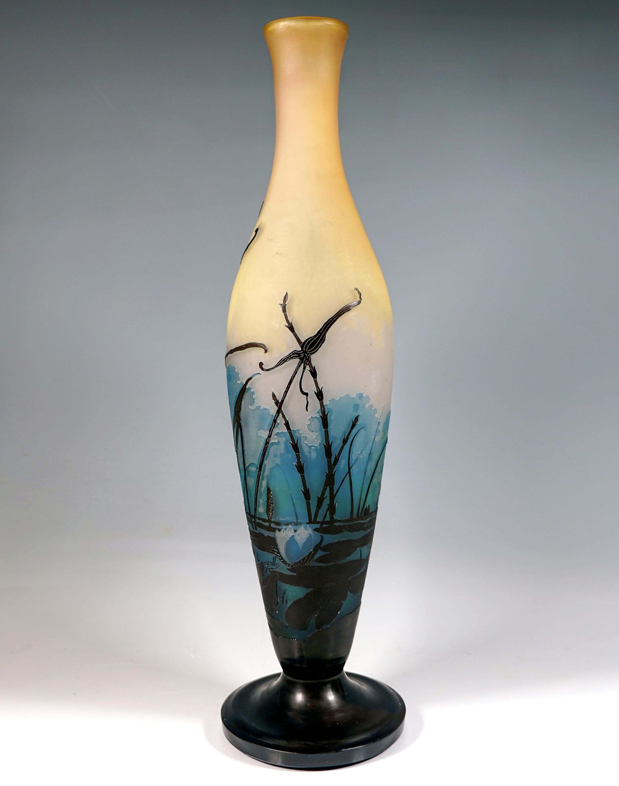 Large émile Gallé Art Nouveau Cameo Vase, Iris And Lily Pond, France, Ca. 1906 photo for sale