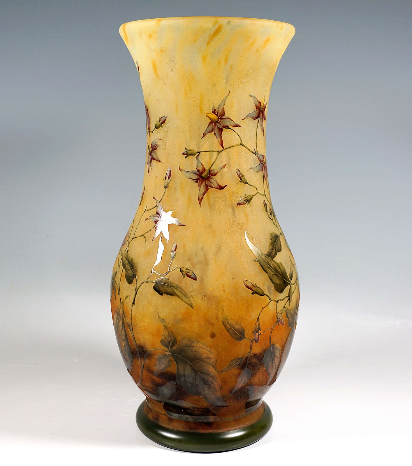 Large Art Nouveau Cameo Vase, Solanum Dulcamara Decor, Daum Nancy, France, 1910 photo Home Decor