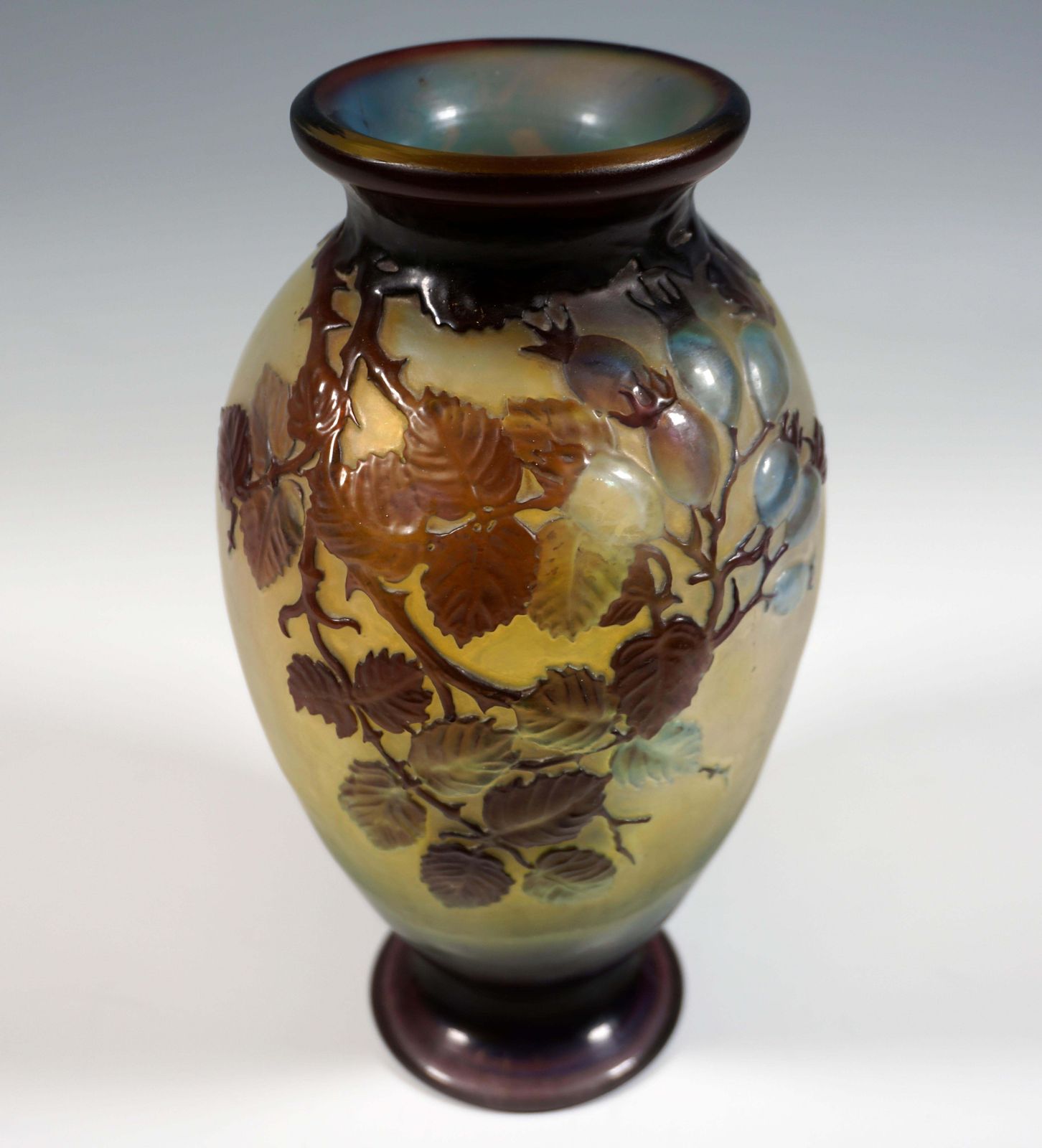 Emile Galle Soufflé Vase Gallé Nancy Art Nouveau Wild Rose France C.1925 photo buy