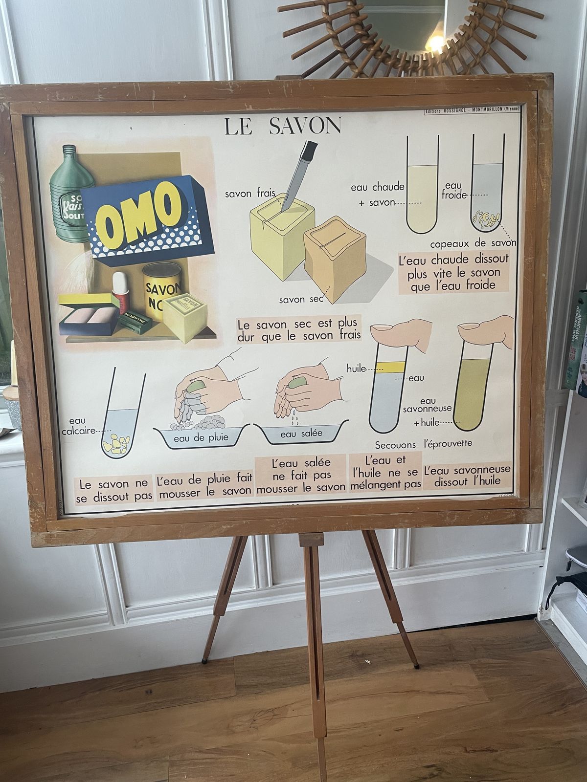 Vintage French 11  Educational Science Posters With 1 Frame By Rossignol Of Montmorillon Vienne photo 245.0
