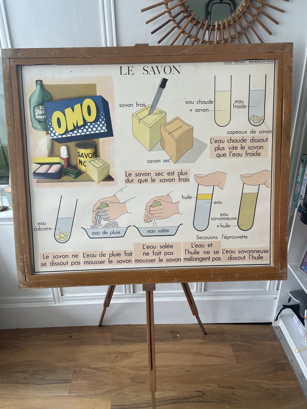 Vintage French 11  Educational Science Posters With 1 Frame By Rossignol Of Montmorillon Vienne