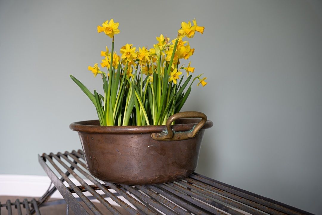 Antique Copper Pot Planter photo furniture