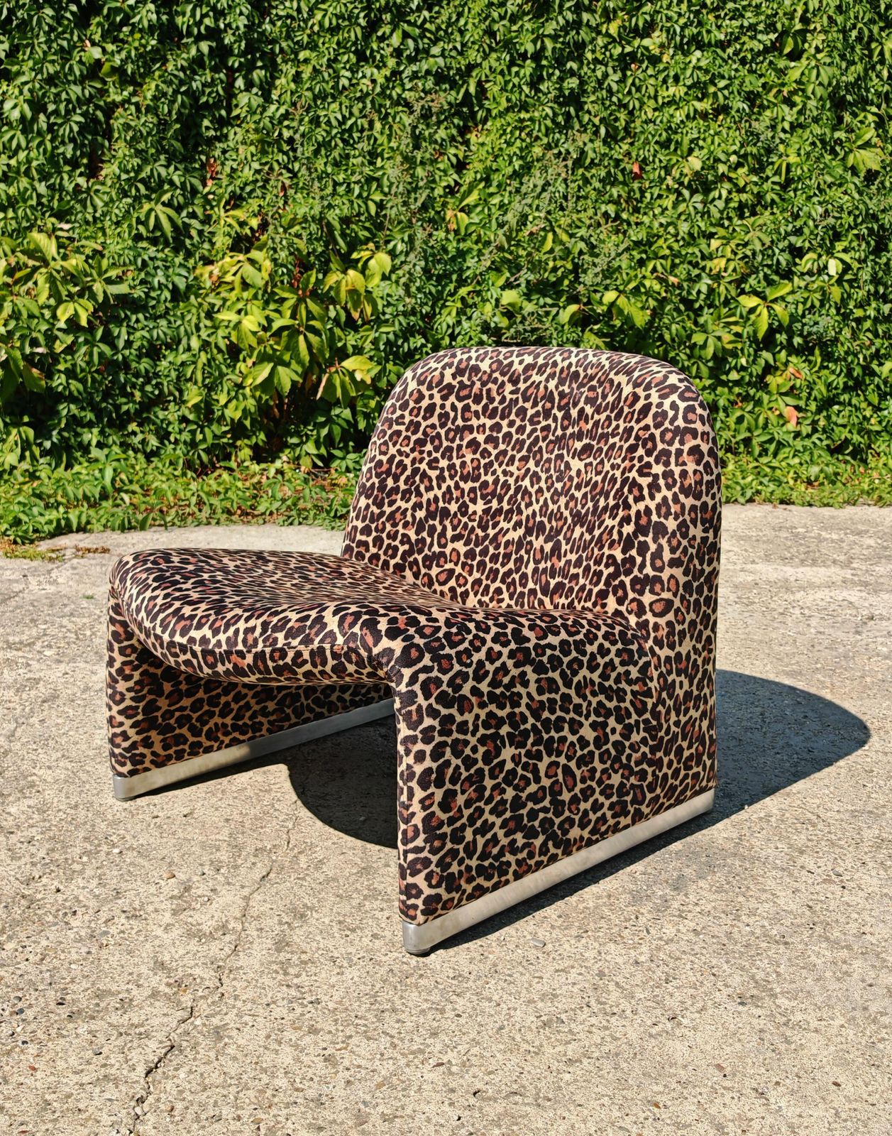 photo furniture Iconic Alky Chair Designed By Giancarlo Piretti For Artifort In Leopard Print