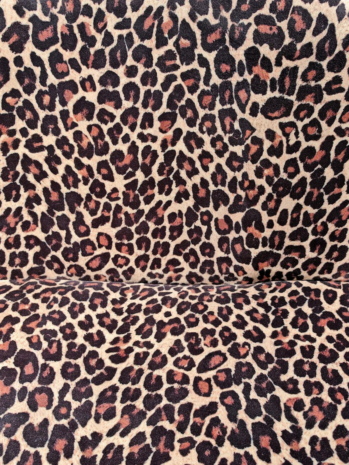 Furniture Iconic Alky Chair Designed By Giancarlo Piretti For Artifort In Leopard Print photo