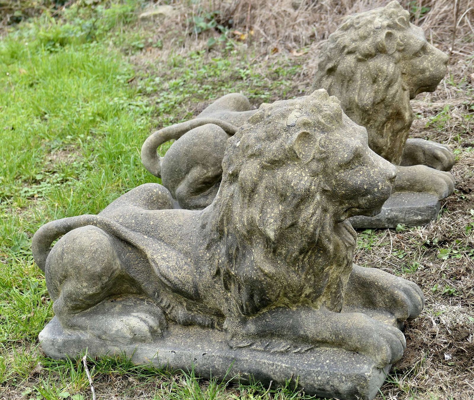 A Pair Of Weathered Guardian Lions photo Art