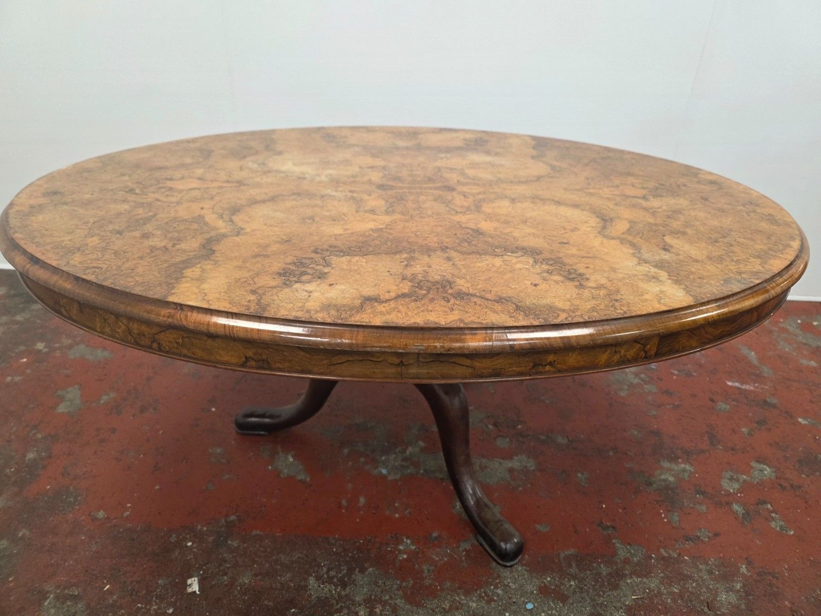 Victorian Burr Walnut Topped Coffee Table In A Modern Cast Iron Tripod Base photo vintage