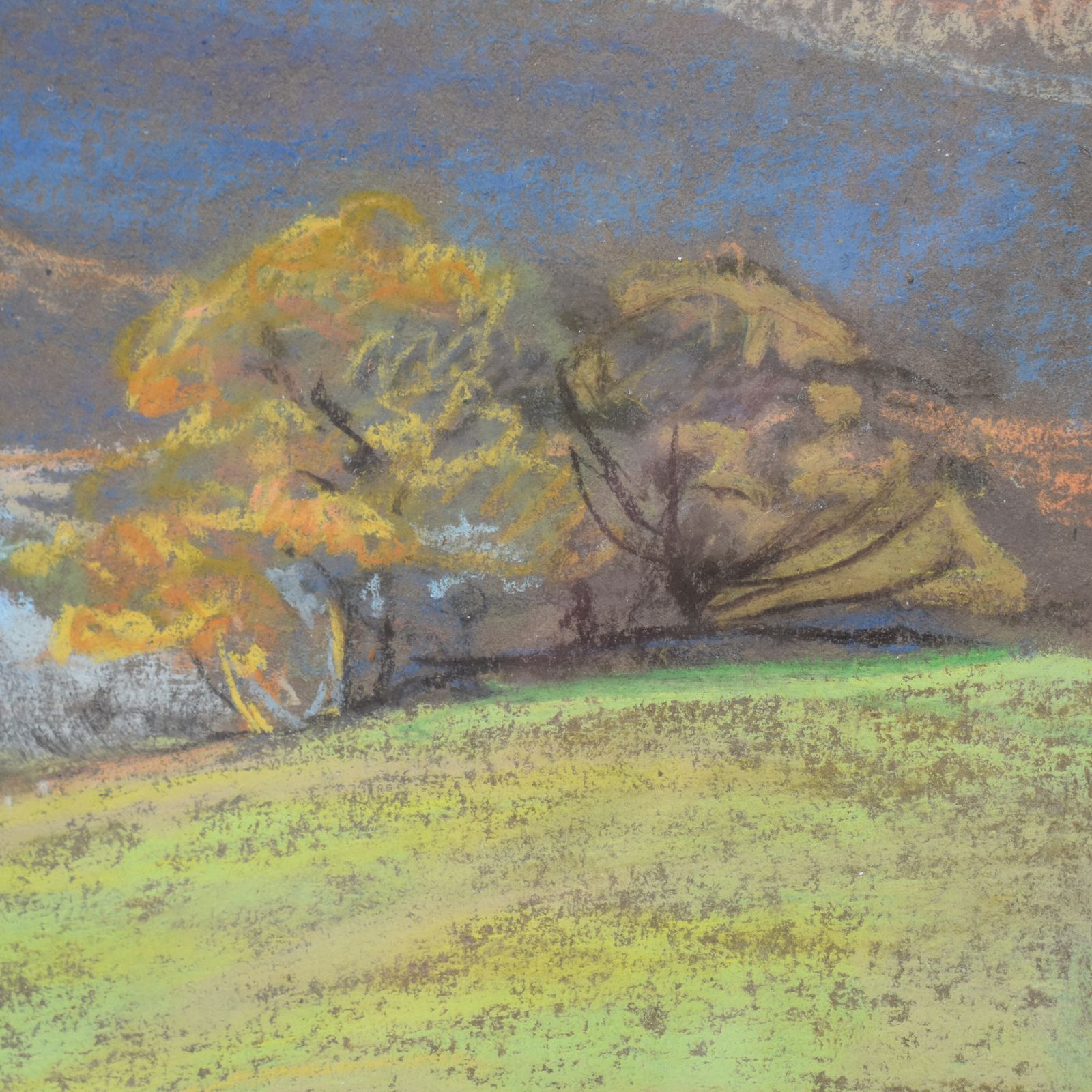 Antique Mary Yates (1891   1974) Rydal Royal Insitute Galleries Pastel Drawing photo Art