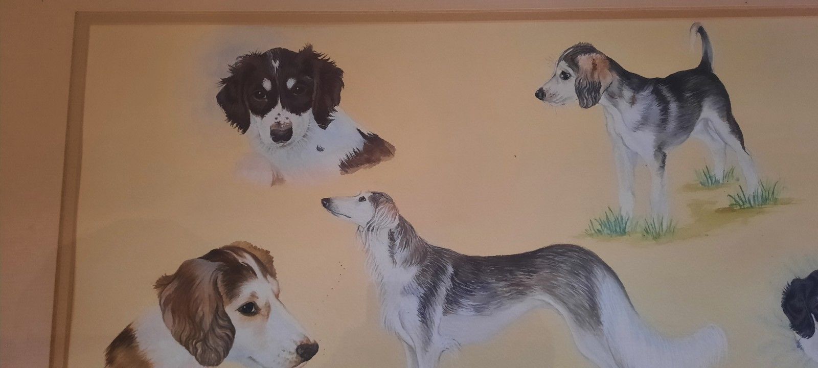Vintage Original Water Colour Painting Of Dogs Signed By Victoria Parsons 1993 photo for sale