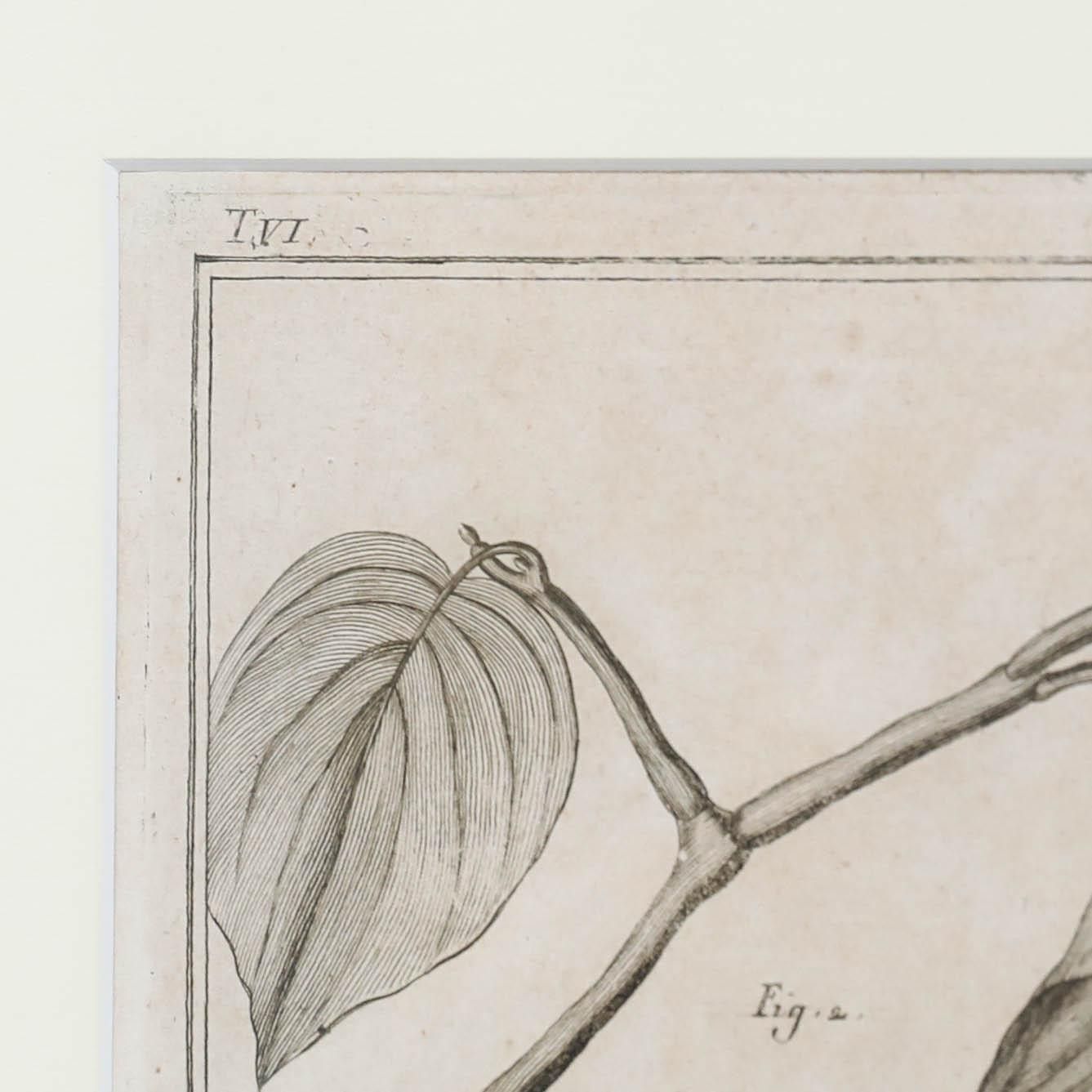 Robert Béenard (1734 1794) 18th Century Engraving, Le Pivre & Le Betel photo vinterior