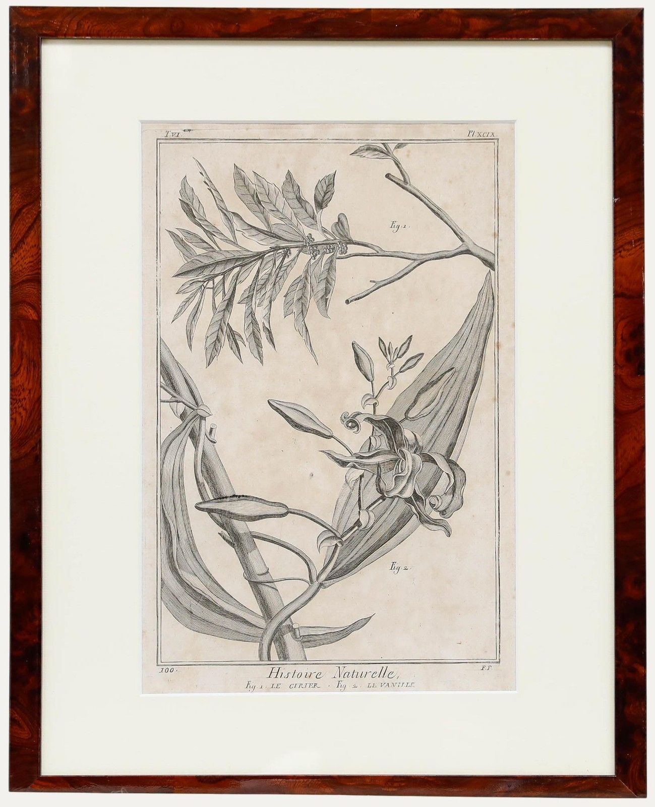 Robert Béenard (1734 1794) 18th Century Engraving, Le Cirier & Le Vanille