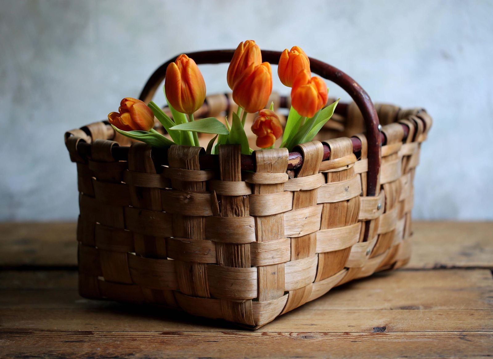 Antique Bentwood Mushroom Basket French Rustic Wooven Wood Garden Trug Bentwood Handle photo Home Decor