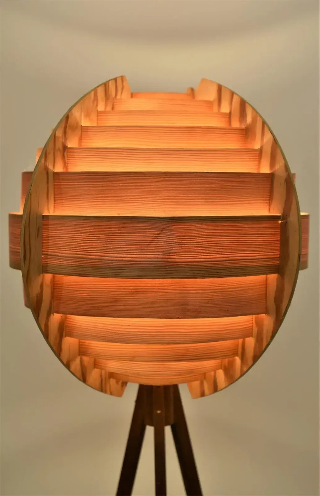 Swedish Pine And Mahogany Floor Lamp By Hans Agne Jakobsson, 1960s photo for sale
