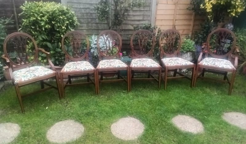 Huge Reduction.. Stunning.. !! Regency Sty.E Mahogany And Satinwood Extending Dining Table With Set Of 6 Chairs. photo for sale