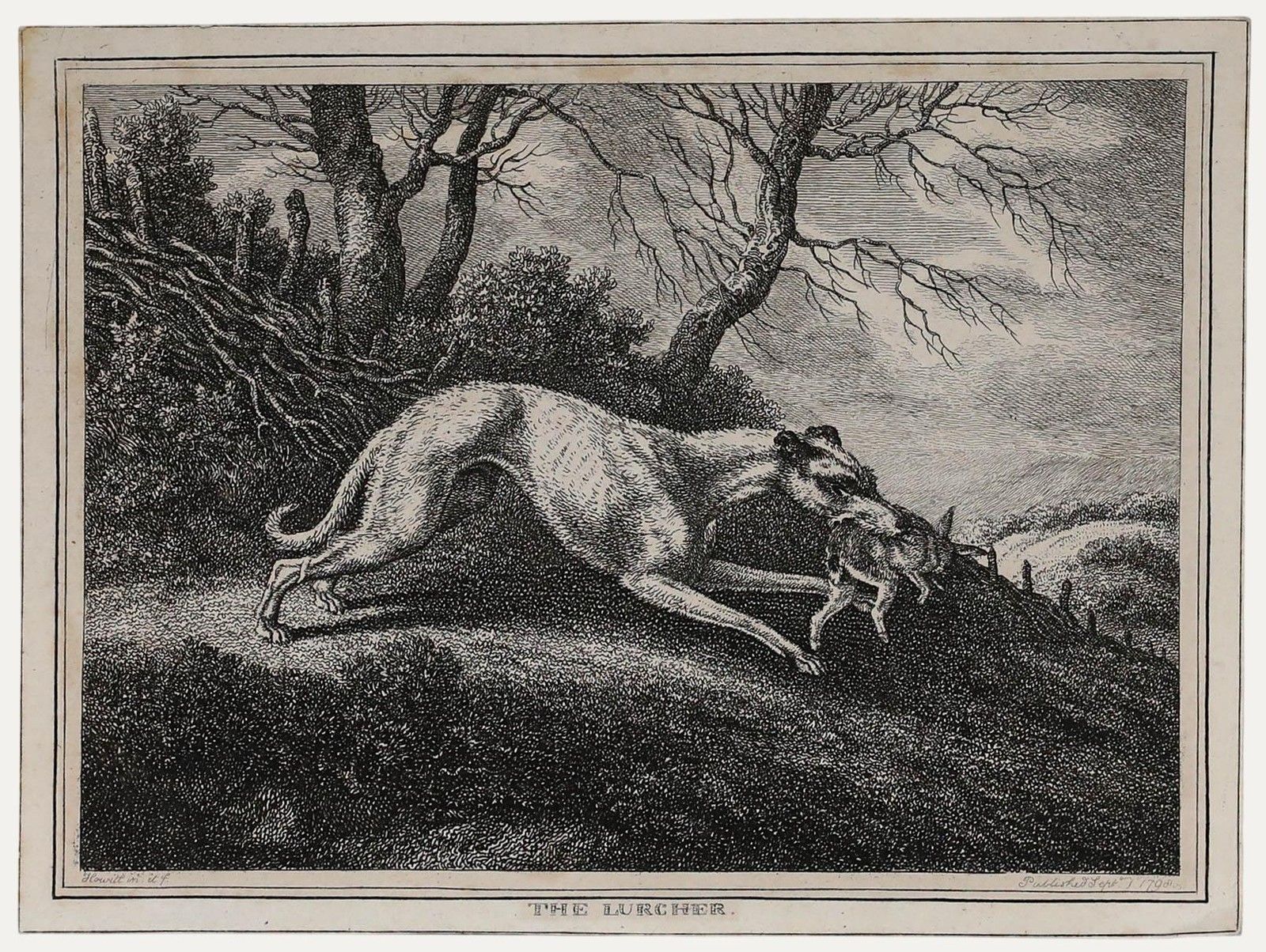 William Samuel Howitt (C.1765 1822) 19th Century Engraving, The Lurcher