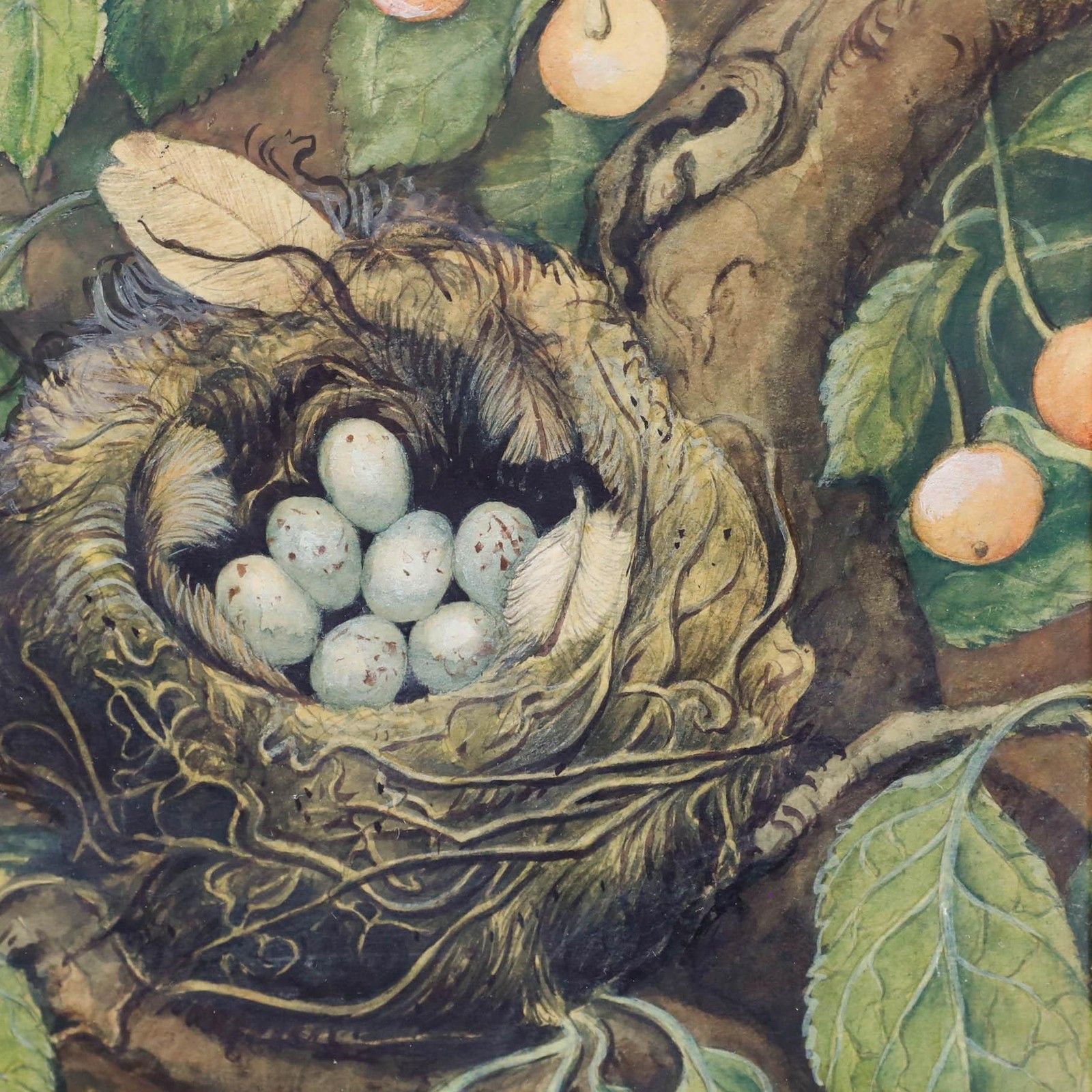 Karl Müller Liedeck  Early 20th Century Watercolour, Serin's Nest photo Art