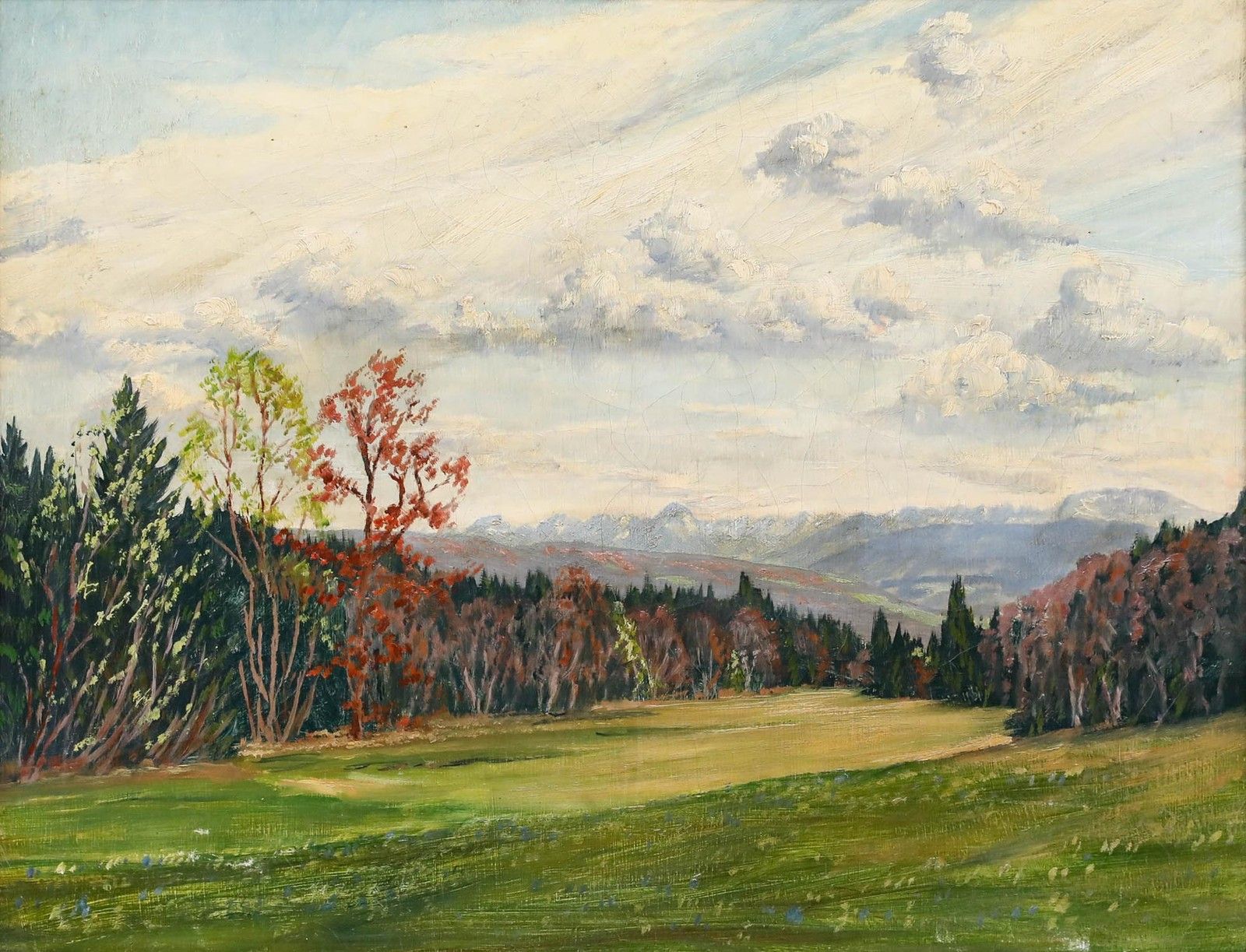 Early 20th Century Oil A View Of The Forest Edge photo furniture