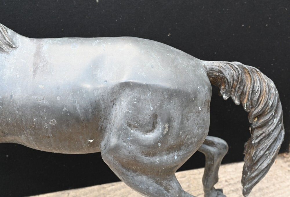 Italian Bronze Horse Statue Bronze Pony Garden Casting photo vinterior