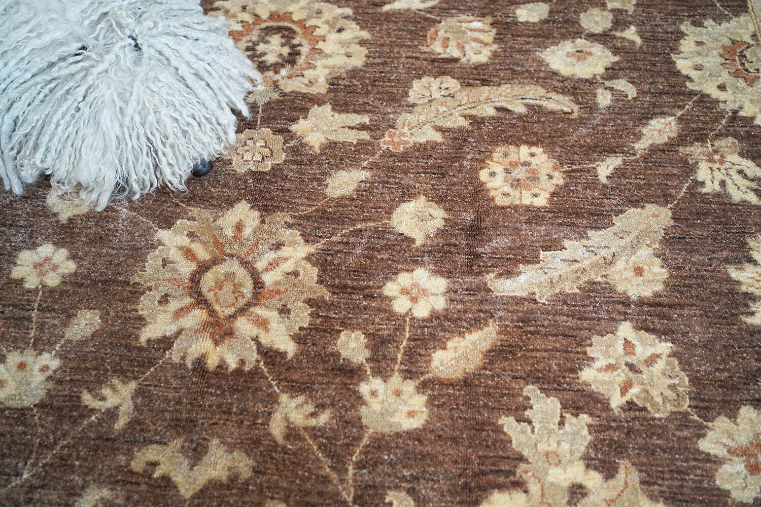A Large Contemporary Gold Antique Wash Ziegler Carpet C.2010 photo buy