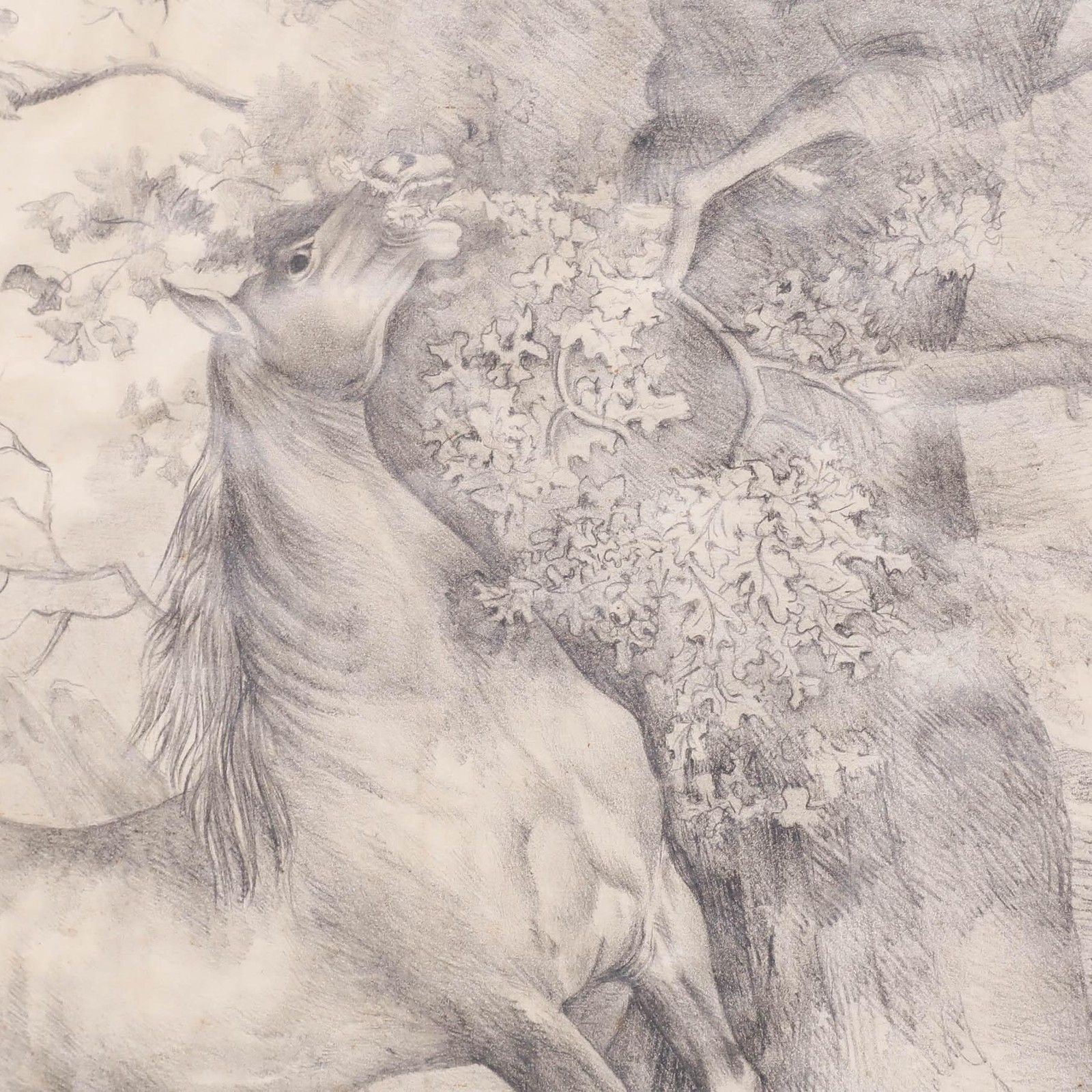 After Carle Vernet (1758 1836) 1833 Graphite Drawing, Wild Horse photo Art