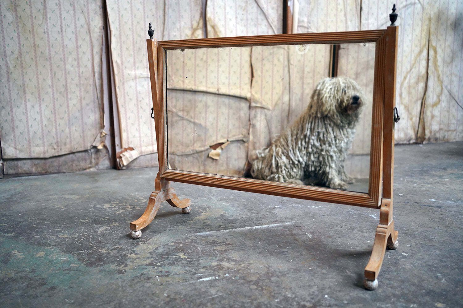 A Late 19thc Bleached Maple & Parcel Gilt Dressing Mirror C.1890 photo Home Decor