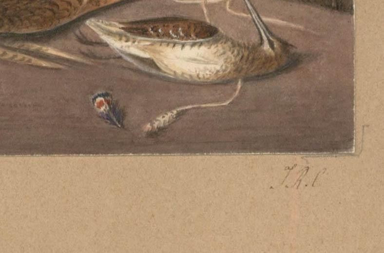 Thomas Remnant Charleton (1756 1849) Watercolour, Game Bird's In The Larder photo Art