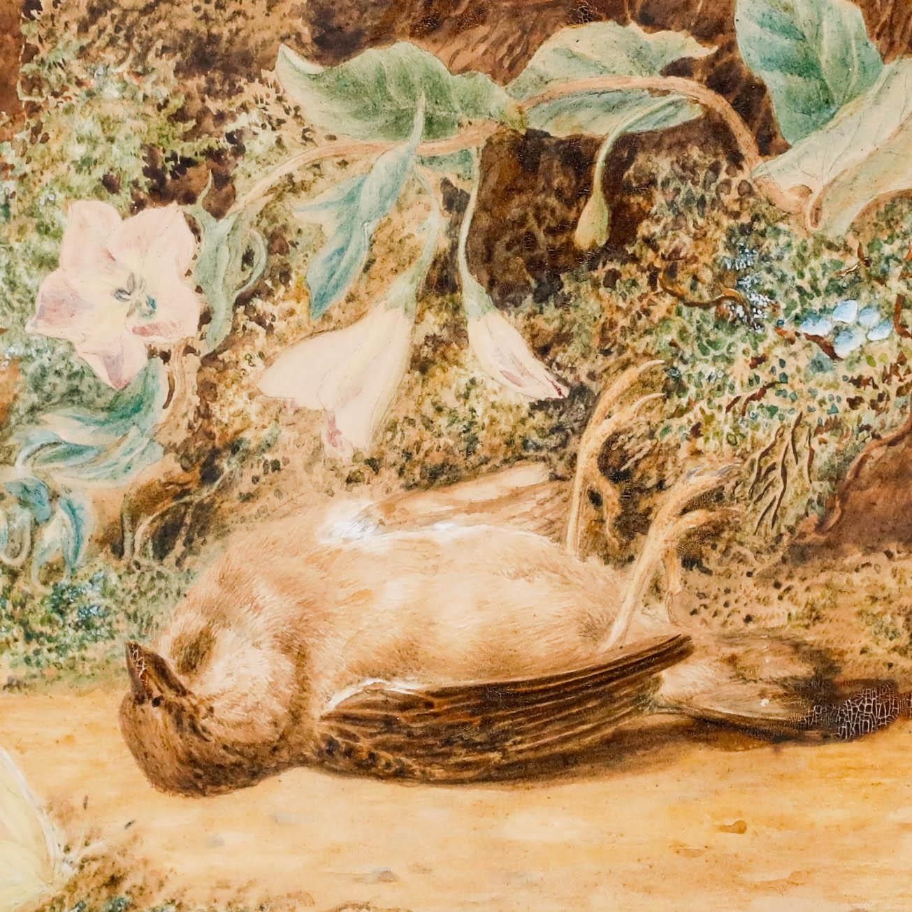 Emma Walter (1833 1893) Late 19th Century Watercolour, The Dead Sparrow photo Art