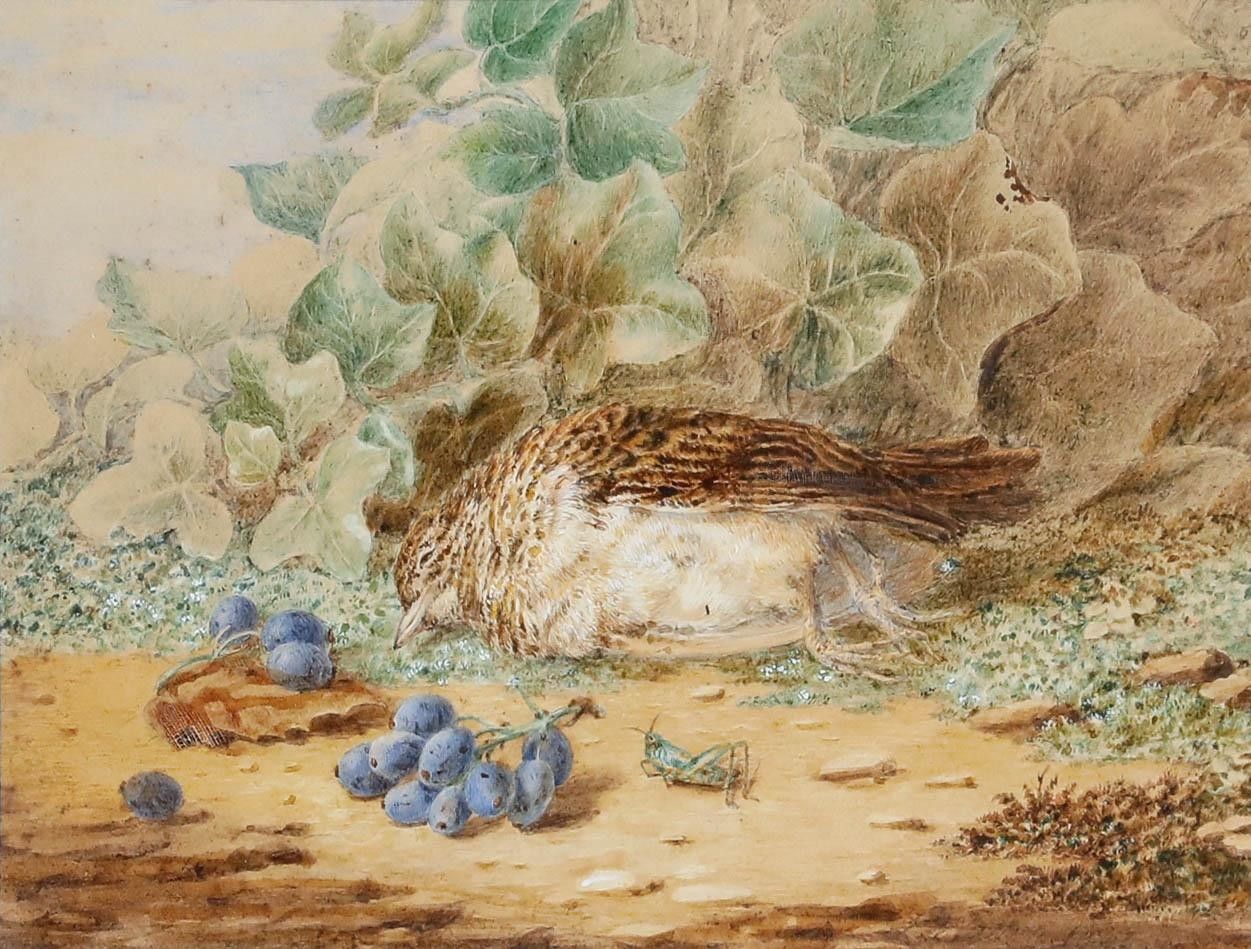 Emma Walter (1833 1893) Late 19th Century Watercolour, The Songbird's Coda photo furniture
