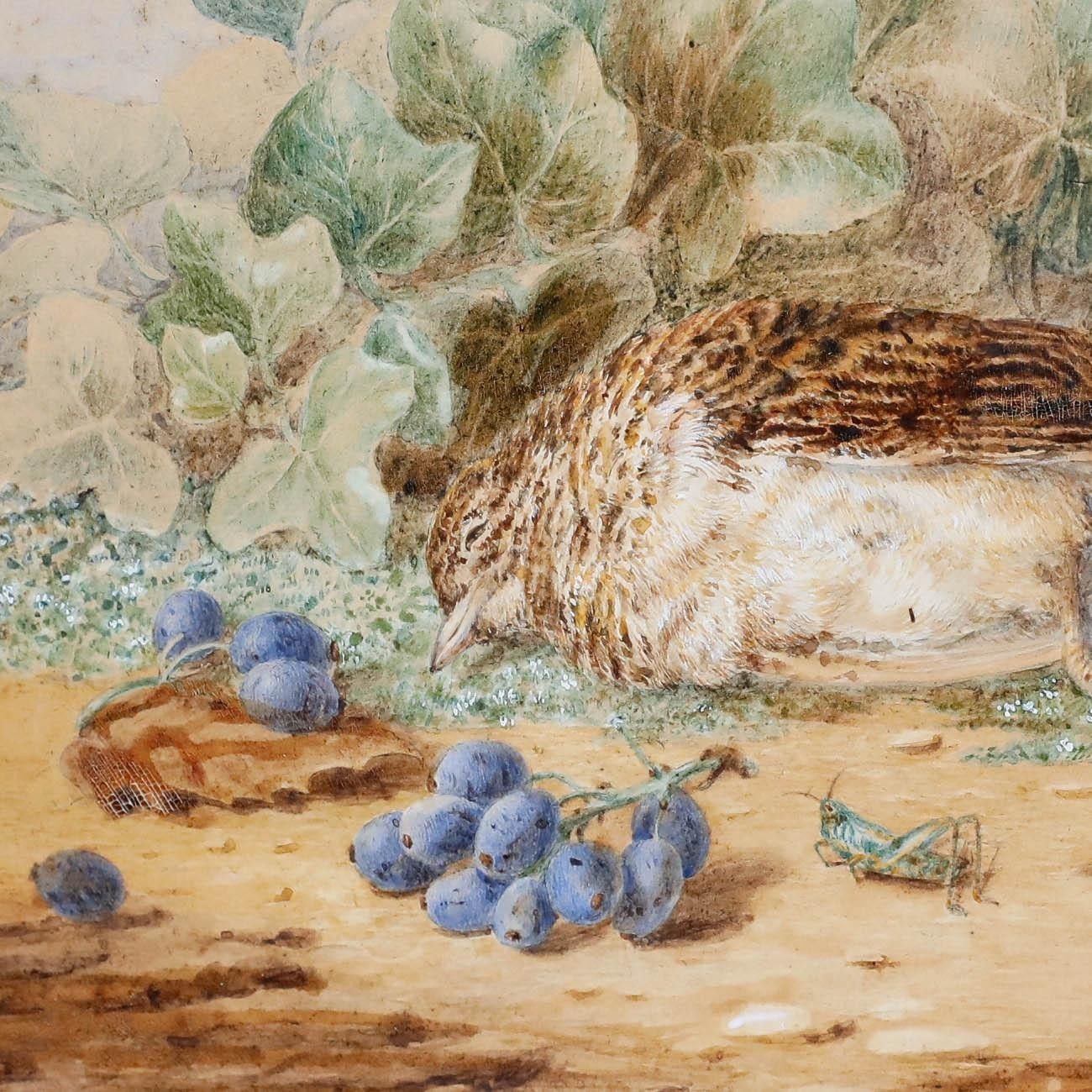 Emma Walter (1833 1893) Late 19th Century Watercolour, The Songbird's Coda photo Art