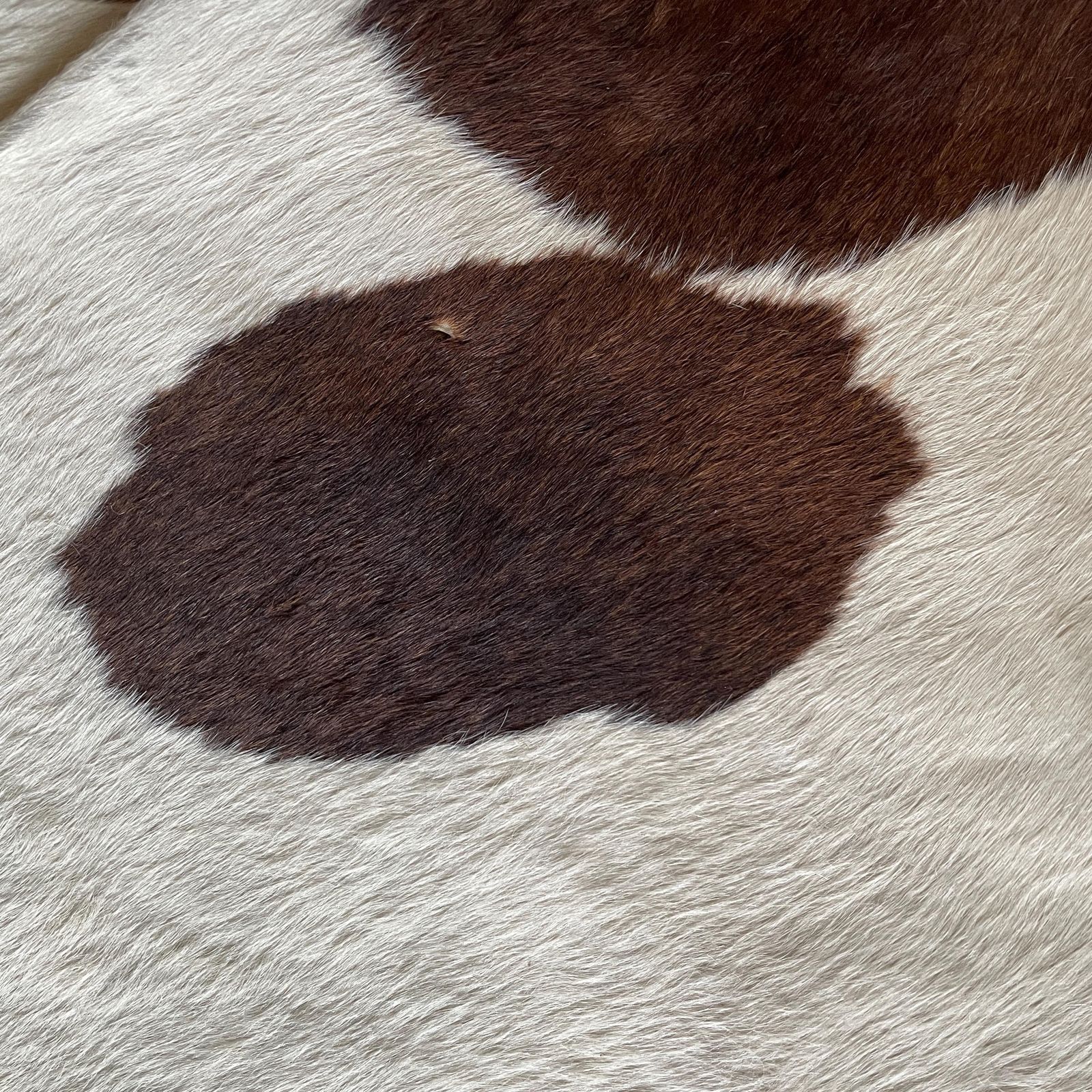 Natural Brown White Cowhide Rug Genuine Leather Unusual Shape Farmhouse Rustic Boho Western Style Floor Mat Large Hide Home Accent photo 125.0
