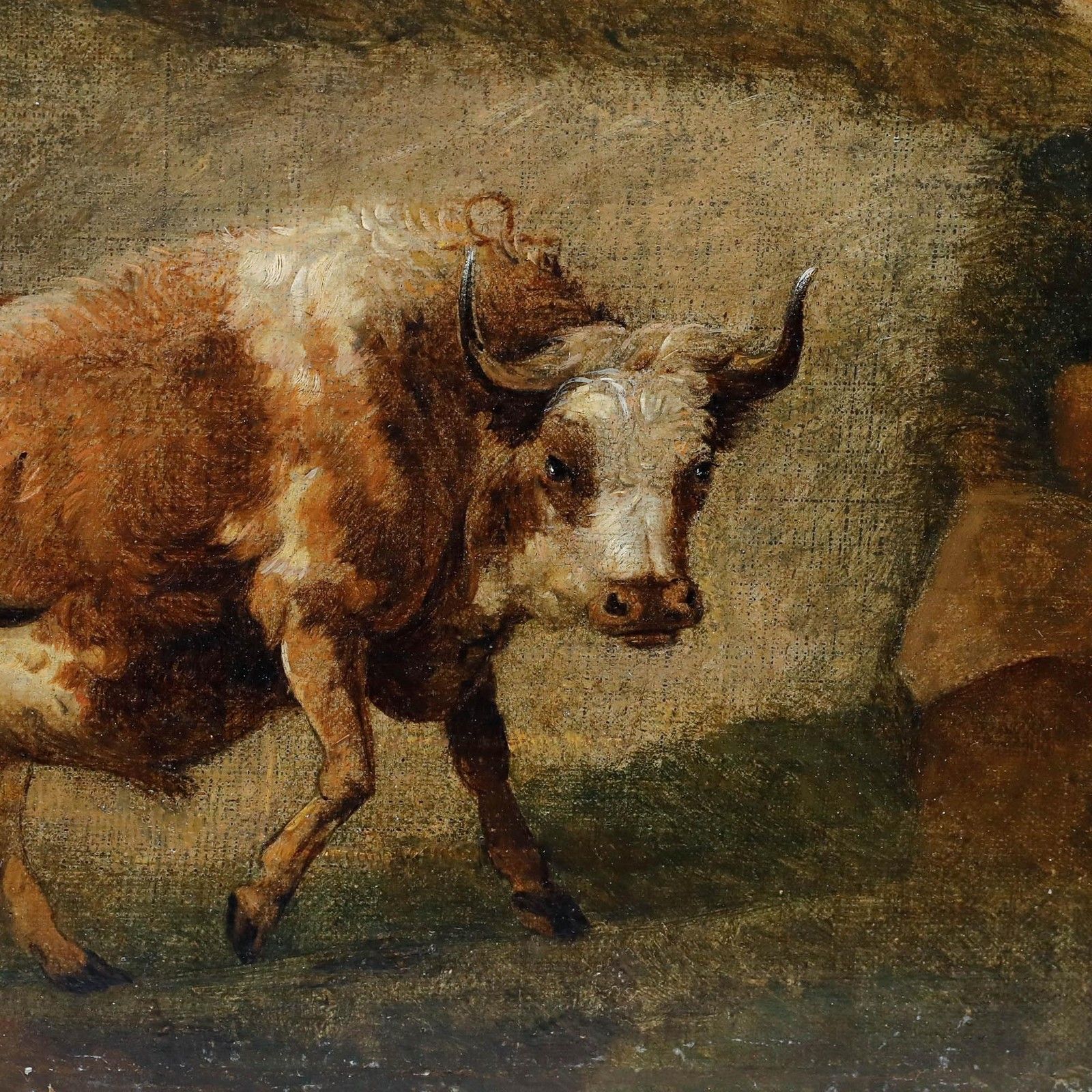 Dutch School 18th Century Oil Raging Bull photo Art