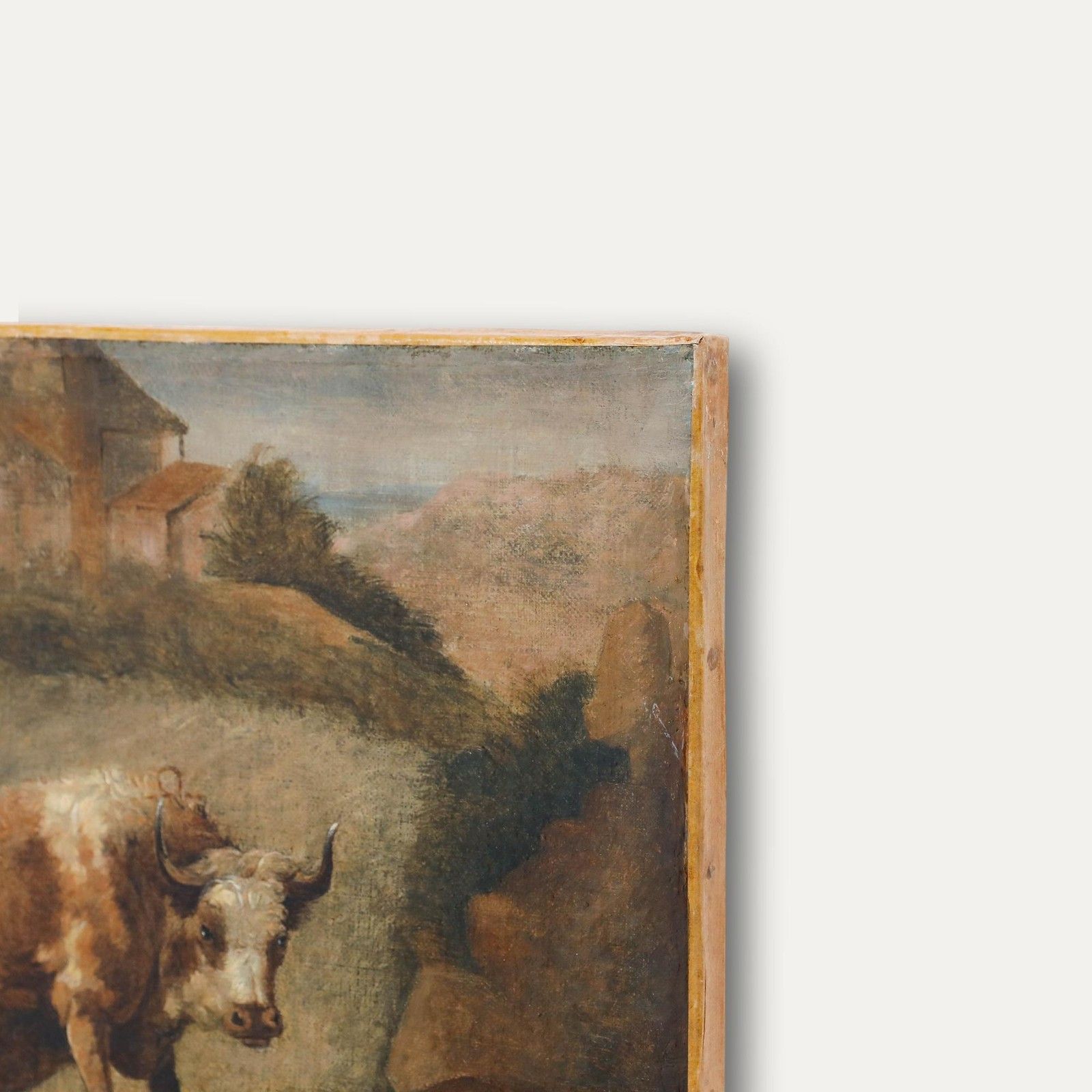 Dutch School 18th Century Oil Raging Bull photo 750.0