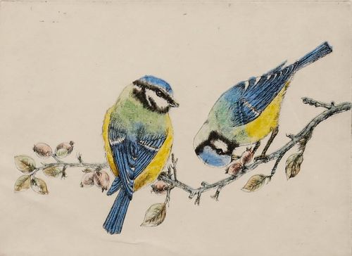 Walter Lishman (1900 1986) Framed Mid 20th Century Etching, Blue Tits photo furniture