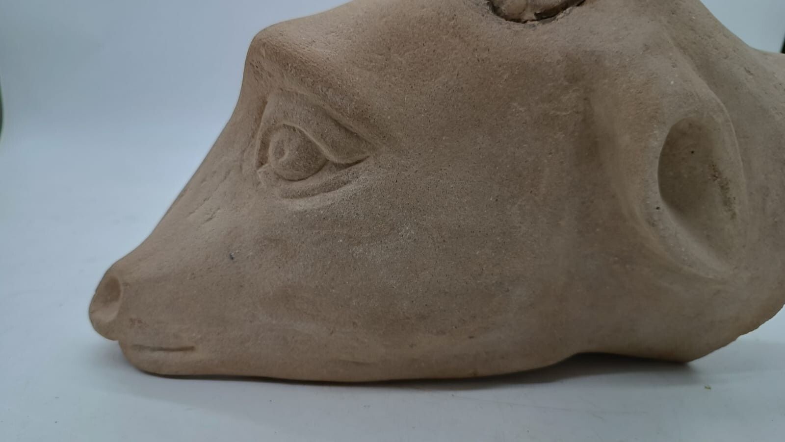 photo furniture Sculpture In Stone Serena Carved Depicting Ram's Head