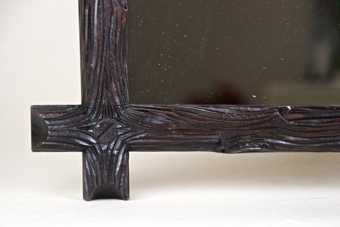 19th Century Rustic Black Forest Wall Mirror   Hand Carved, Austria Circa 1880 photo vintage