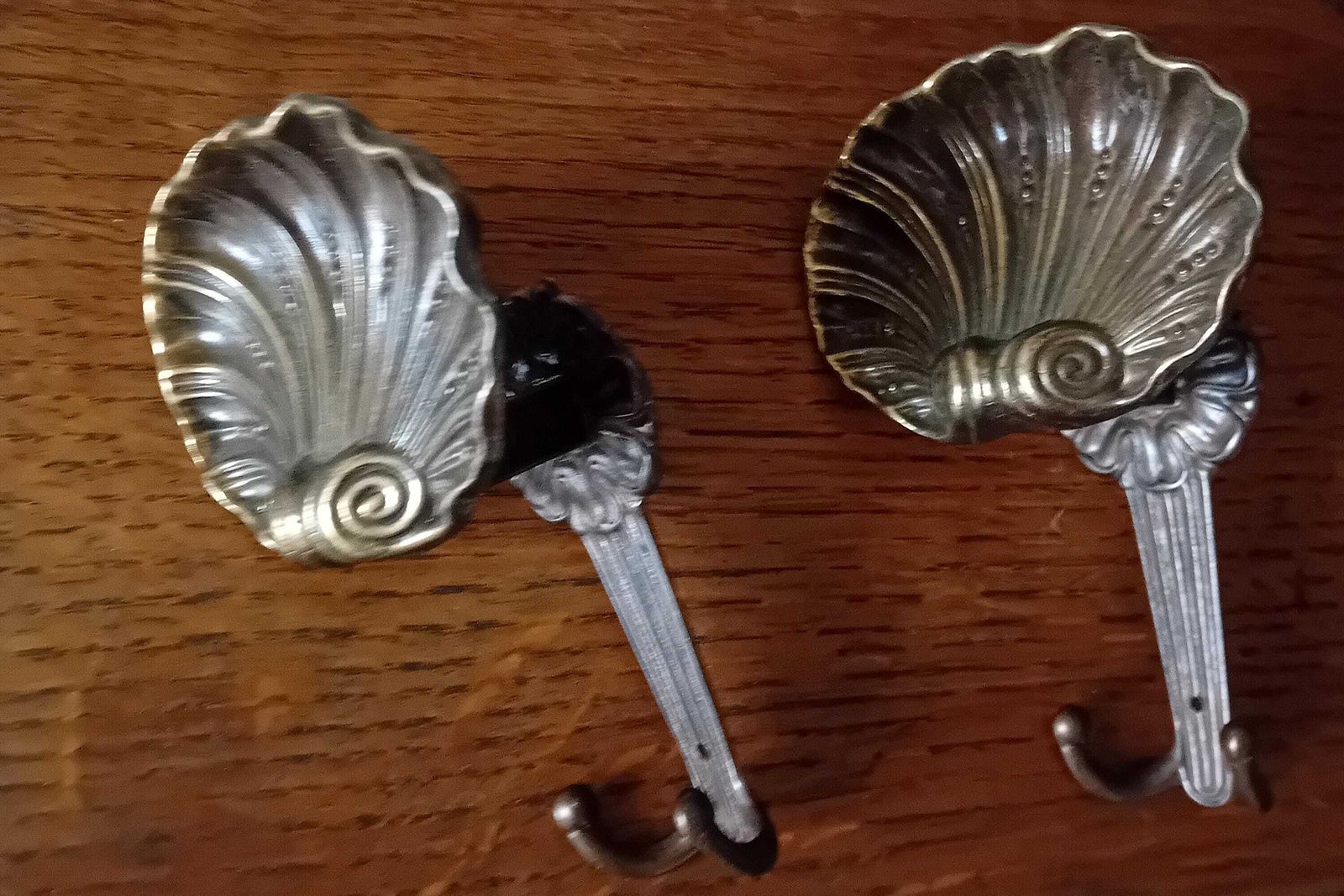 Coat Hooks A Set Of Two Shell Shaped Bronze Wall Hooks For Coats And Scarfs photo buy