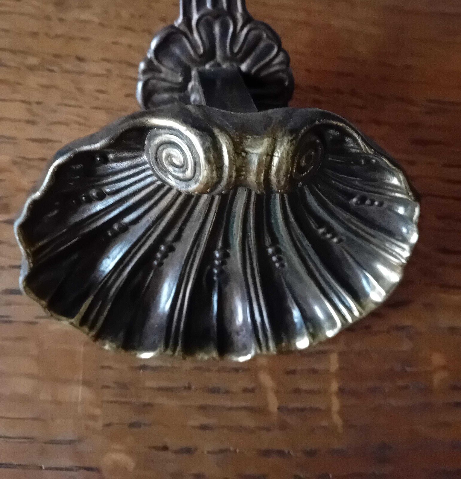 photo furniture Coat Hooks A Set Of Two Shell Shaped Bronze Wall Hooks For Coats And Scarfs
