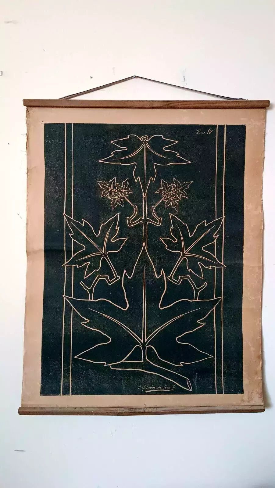 Antique Art Nouveau Table Print By Prof. Andreani Isidoro   Plants, Botany, Early 1900s photo furniture